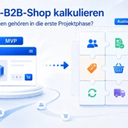 Magento-B2B-Shop kalkulieren – Welche Funktionen gehören in die erste Projektphase?