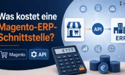 Was kostet eine Magento-ERP-Schnittstelle? Zwölf Fragen vor der Aufwandsschätzung