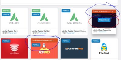 Advanced Custom Fields PRO – Update nicht möglich – Lizenz Key fehlt