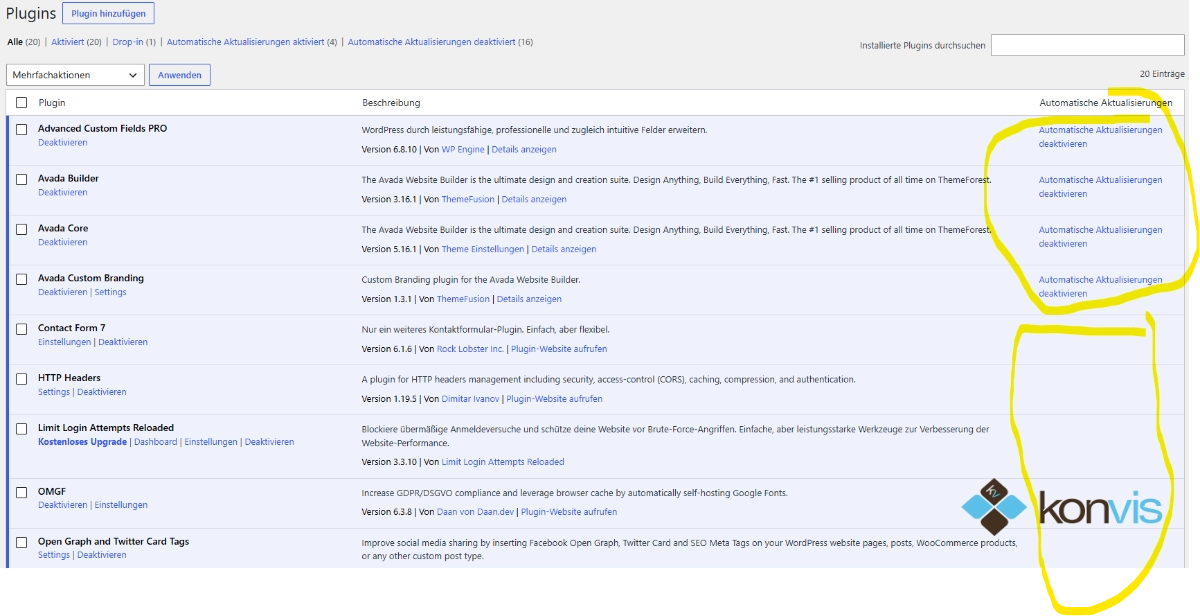 Wordpress Plugin Update Update Button fehlt im Admin